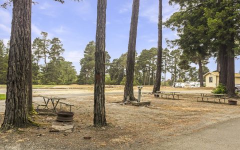 RV & Tent Sites