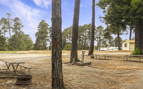 RV & Tent Sites