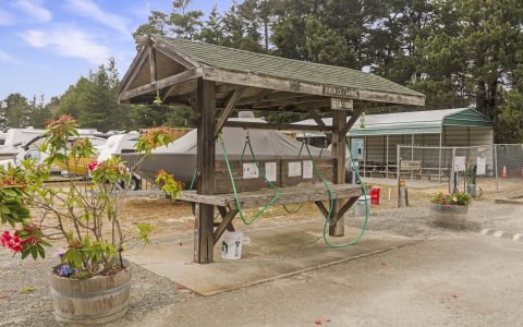 Fish Cleaning Station