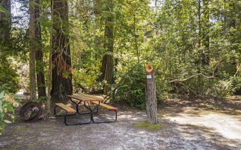 RV & Tent Sites